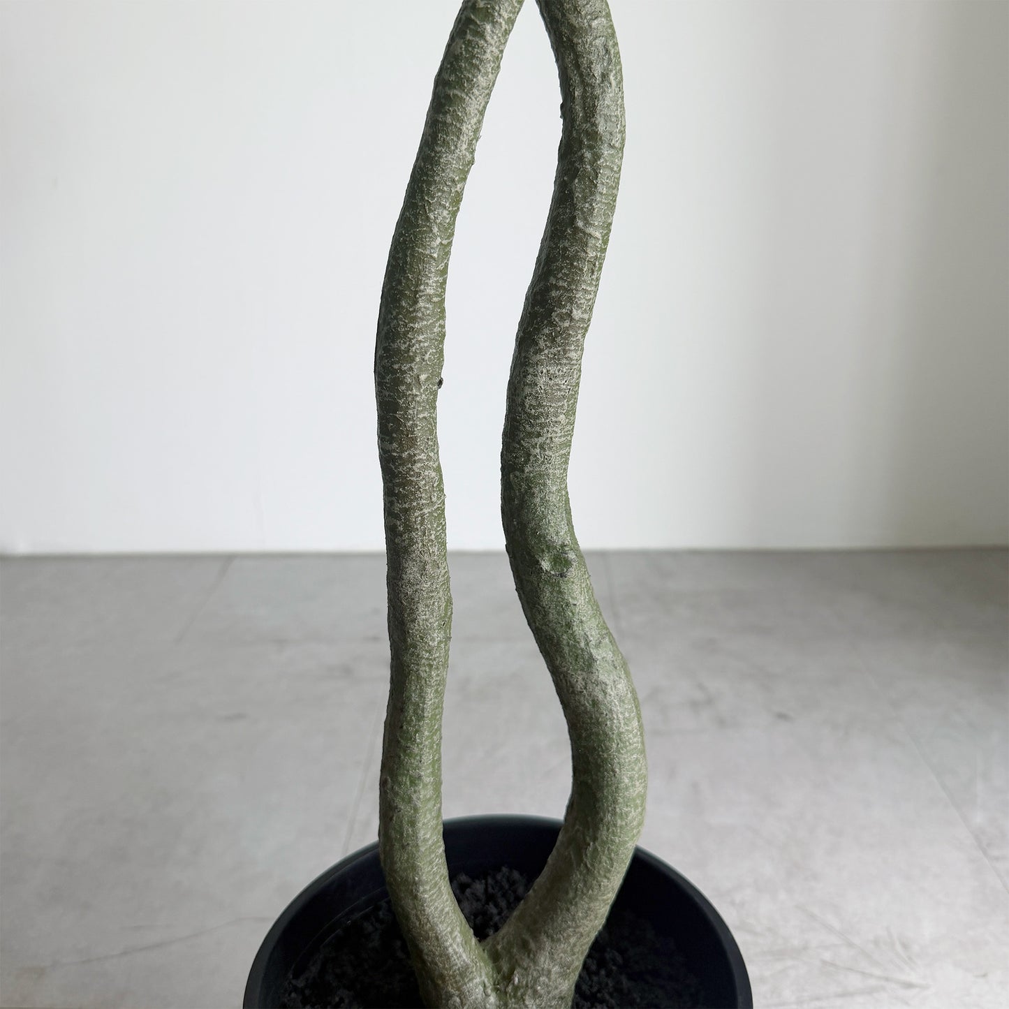 【大型フェイクグリーン】パキラ 120cm 6