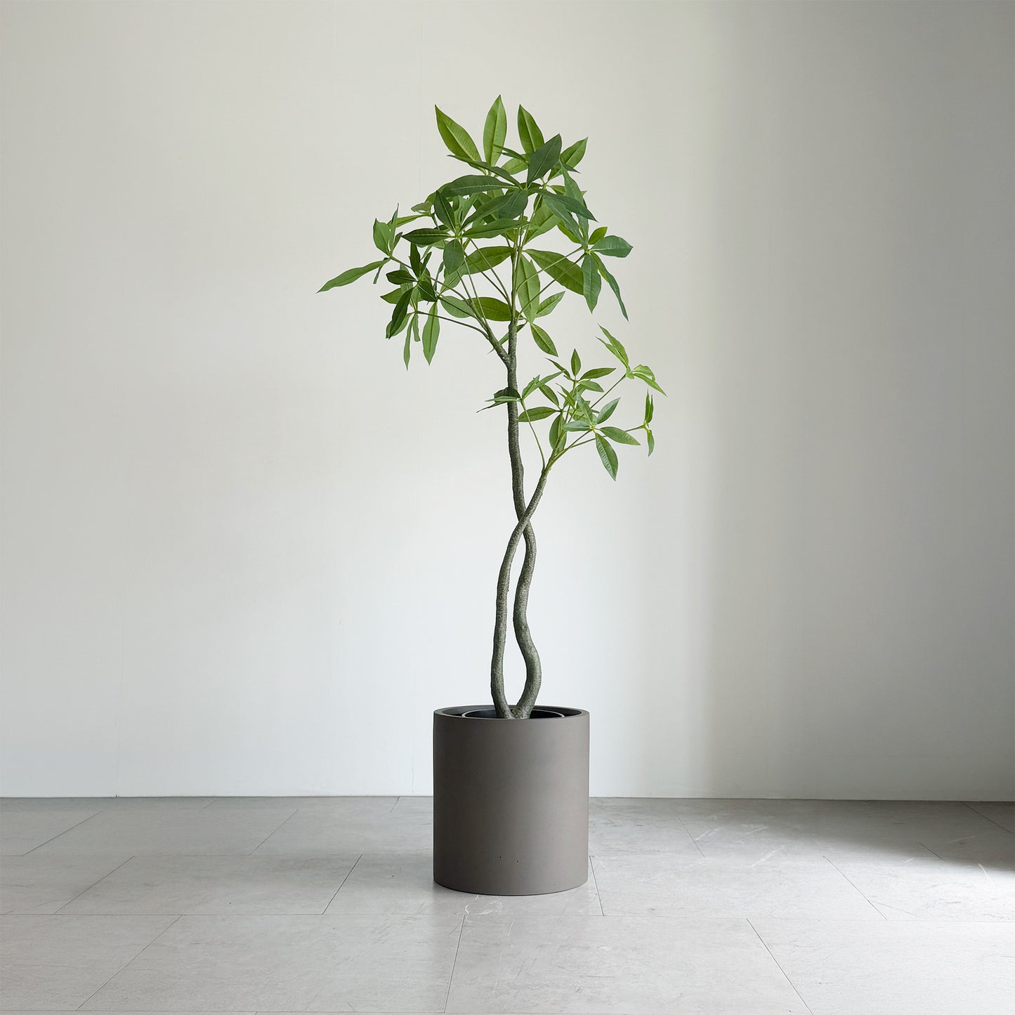 【大型フェイクグリーン】パキラ 120cm 8