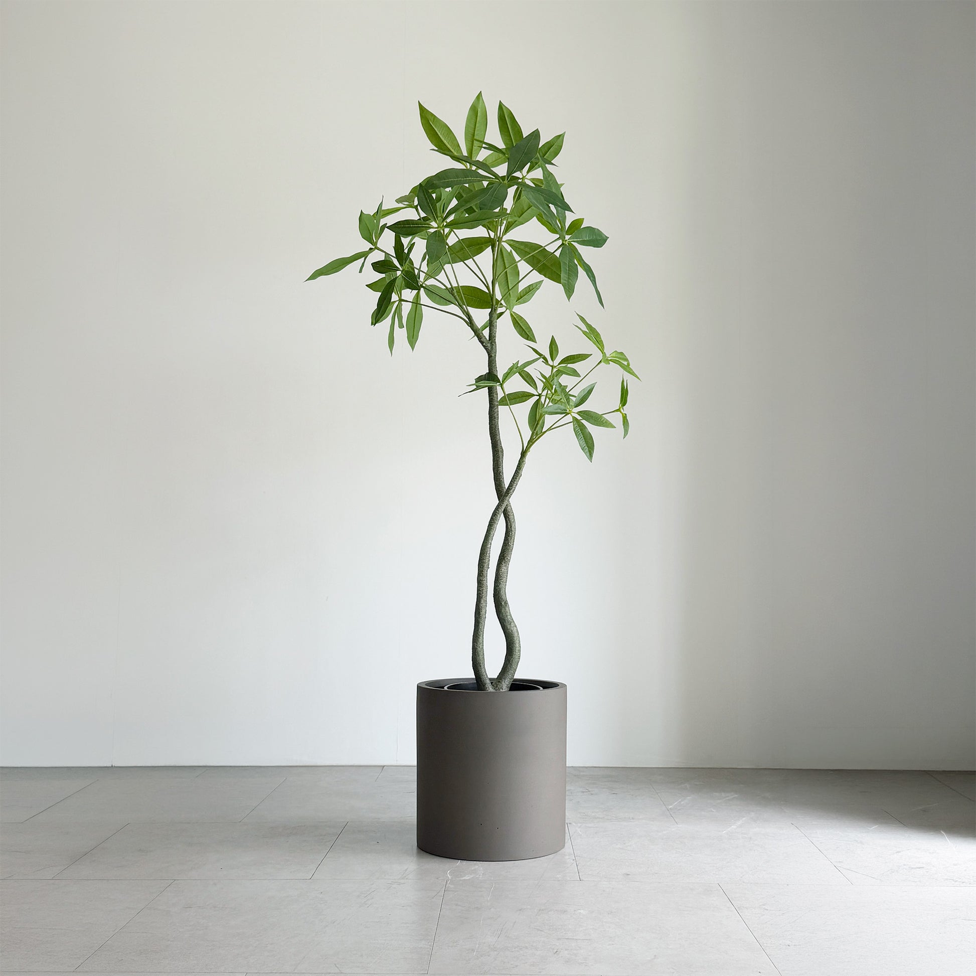 【大型フェイクグリーン】パキラ 120cm 8
