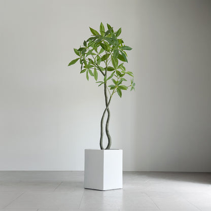 【大型フェイクグリーン】パキラ 120cm 9