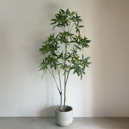 【大型フェイクグリーン】パキラ 210cm 1