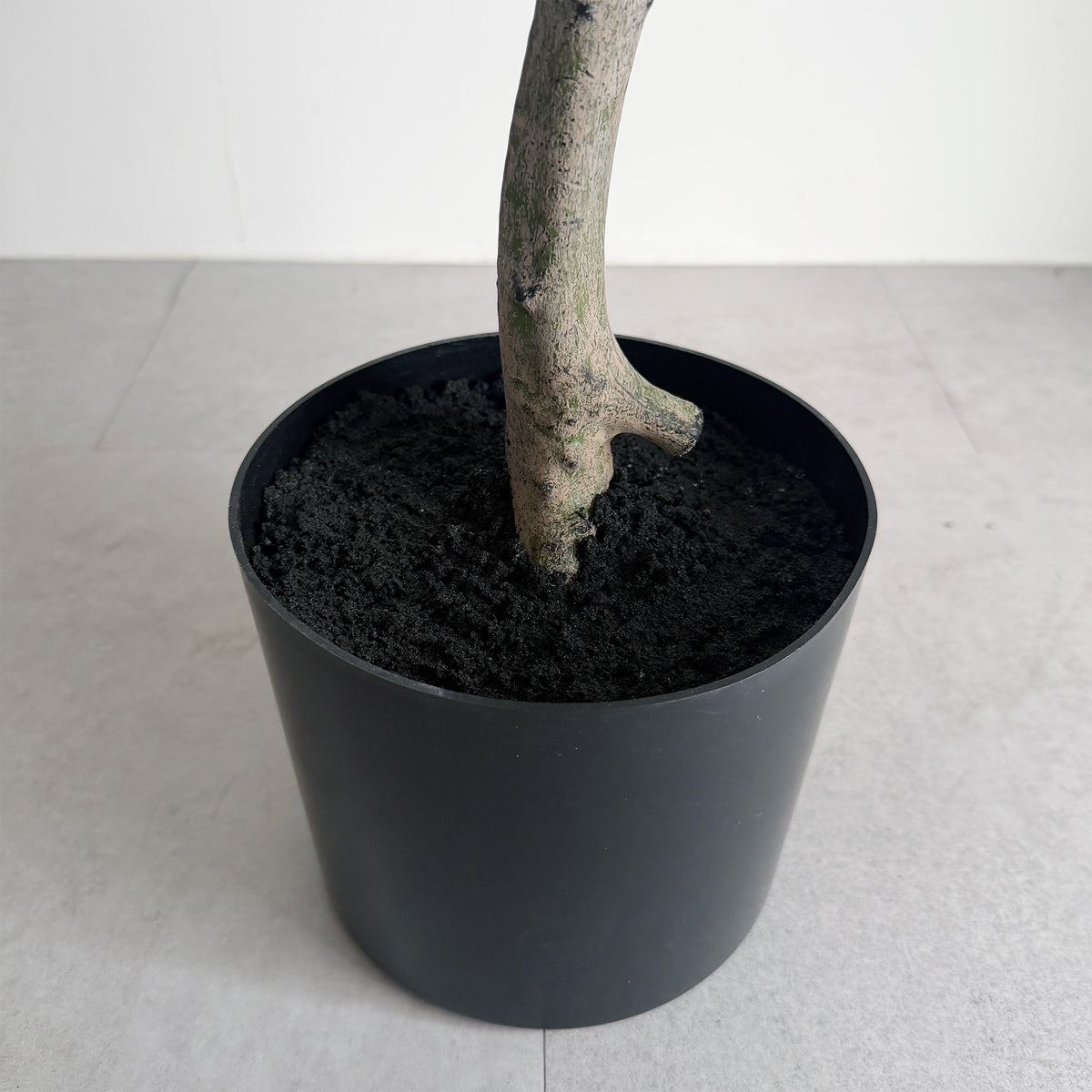 【大型フェイクグリーン】ツピタンサス 157cm 8