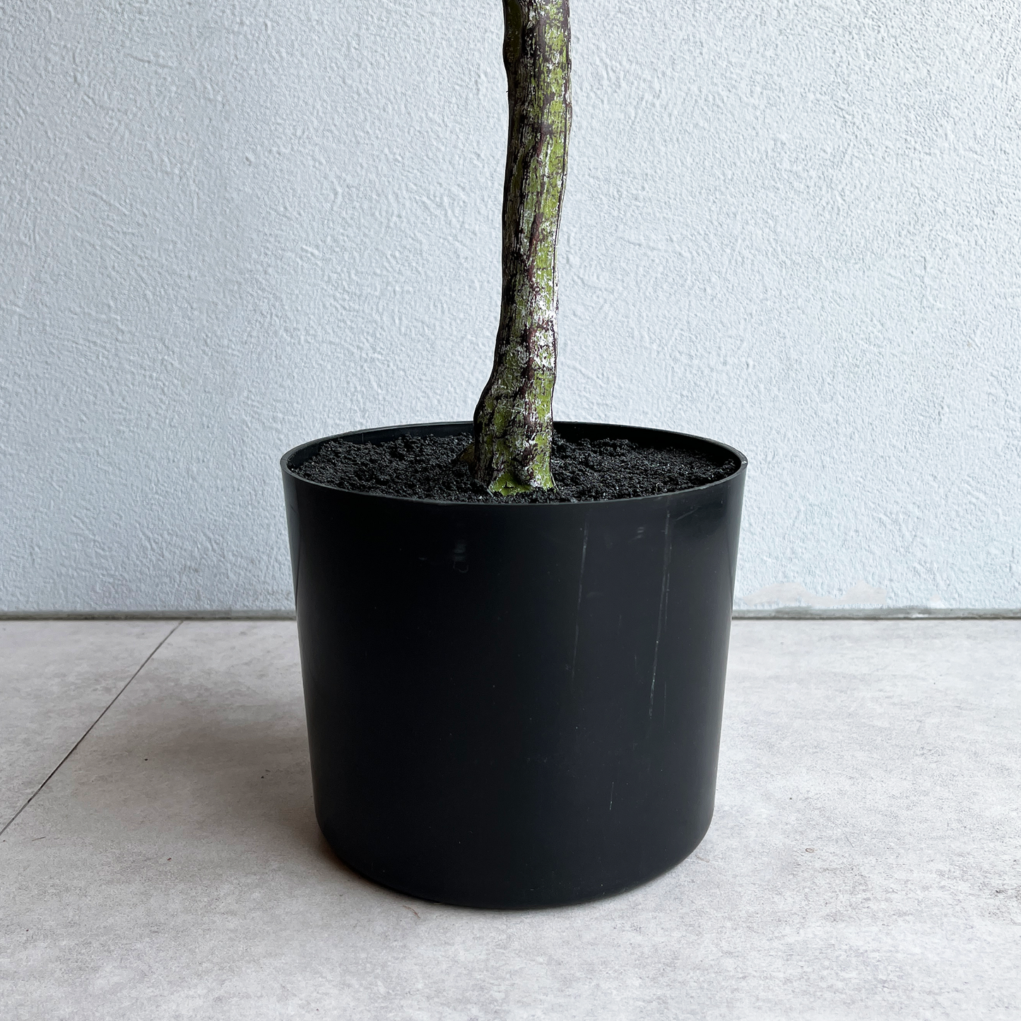 リネアエアリーツリー 150cm7