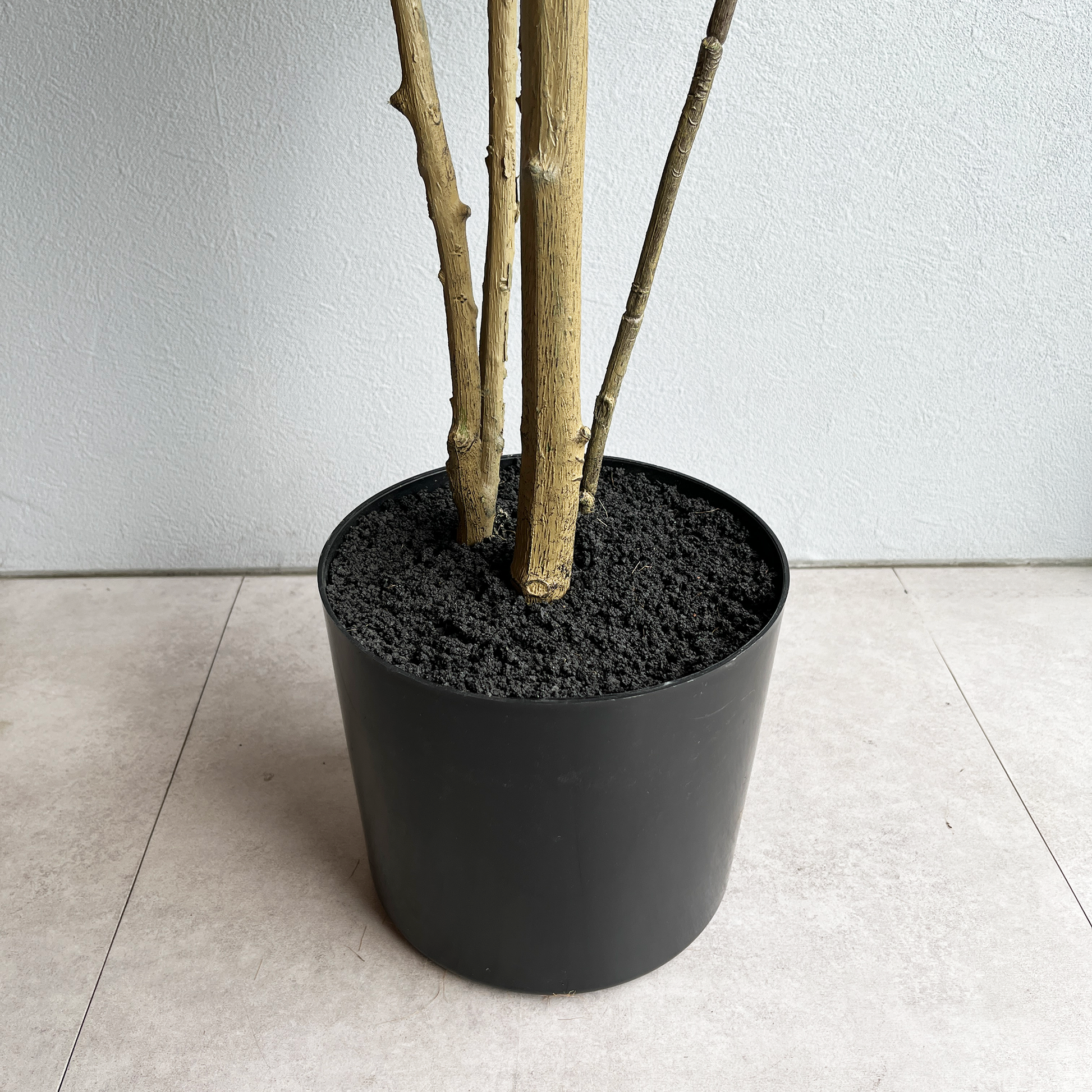 マホニアツリー 180cm８