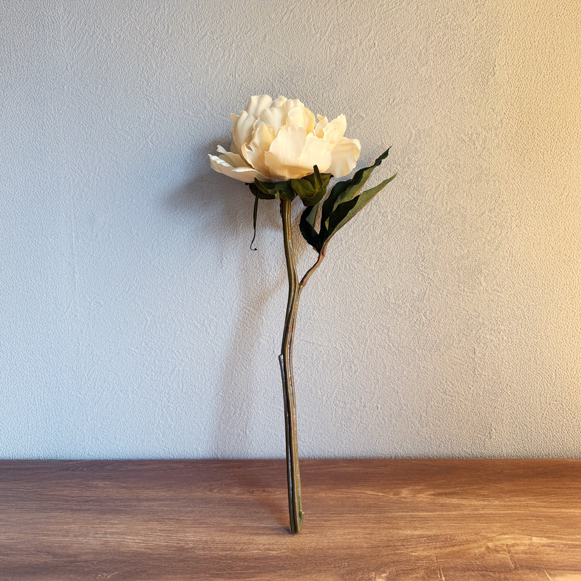 ミルキーピオニー1