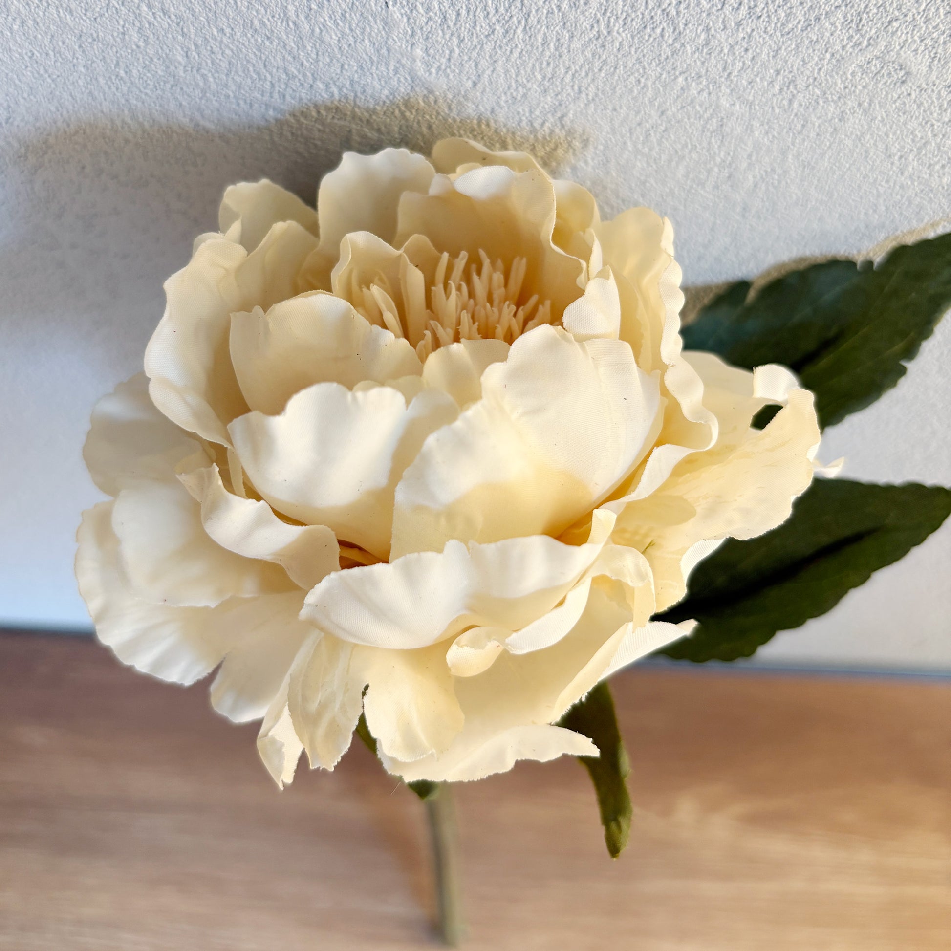 ミルキーピオニー5