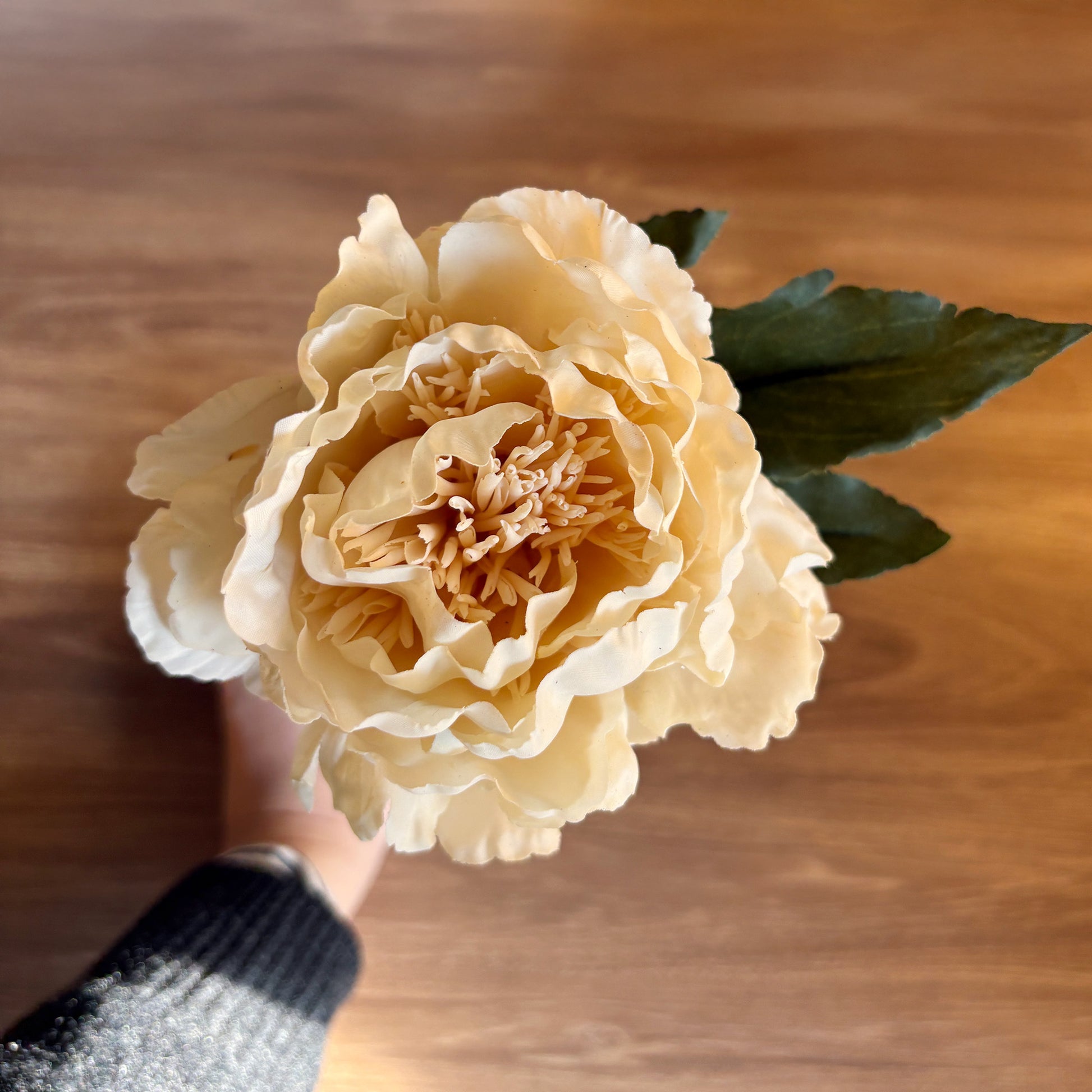 ミルキーピオニー6