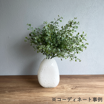 ミニユーカリブッシュ11