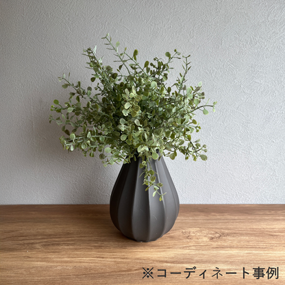 ミニユーカリブッシュ6