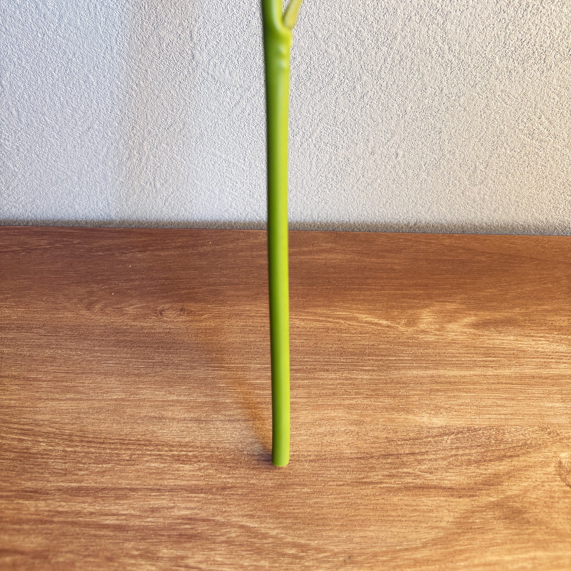 ミストグリーン ハイドレンジア5