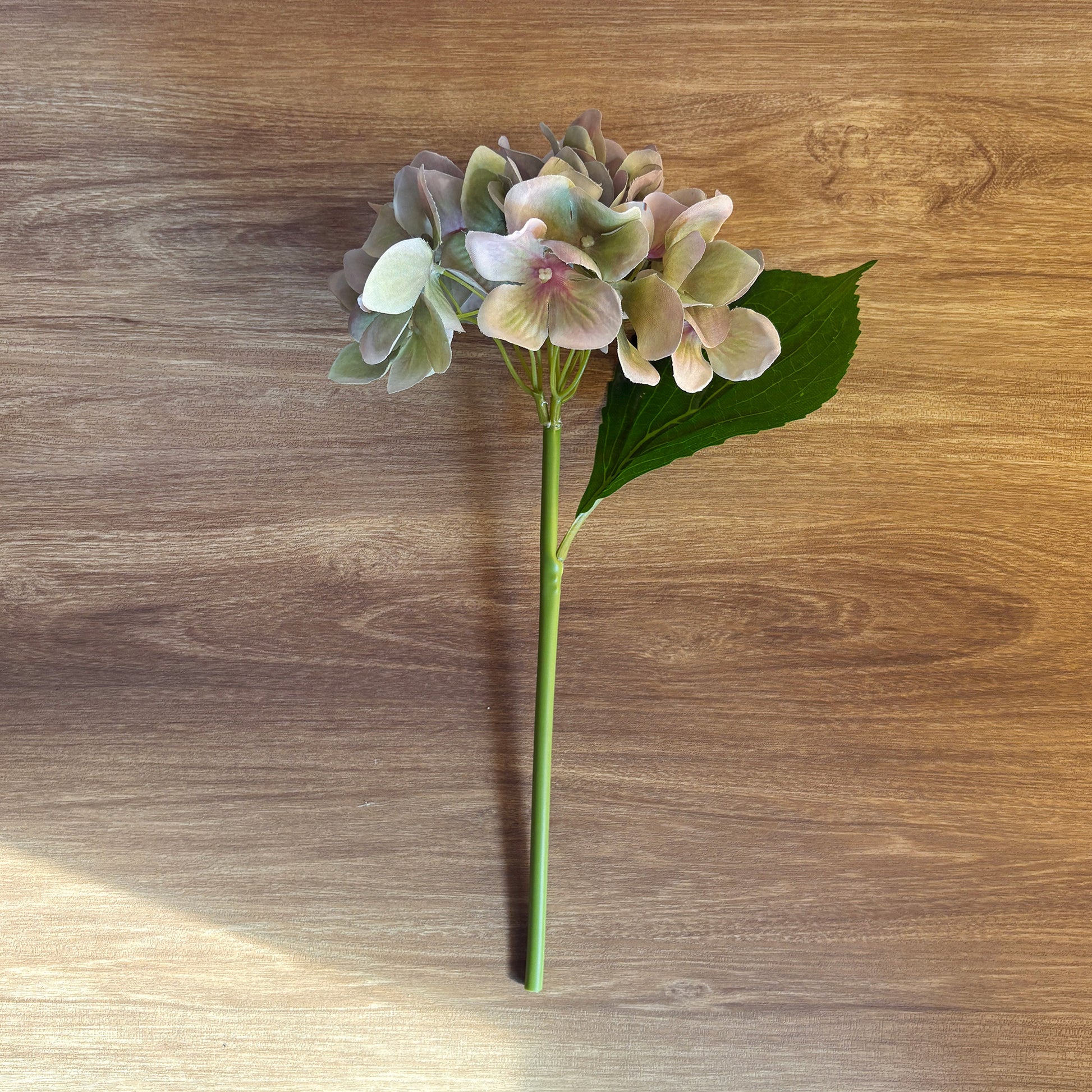 ミストグリーン ハイドレンジア6