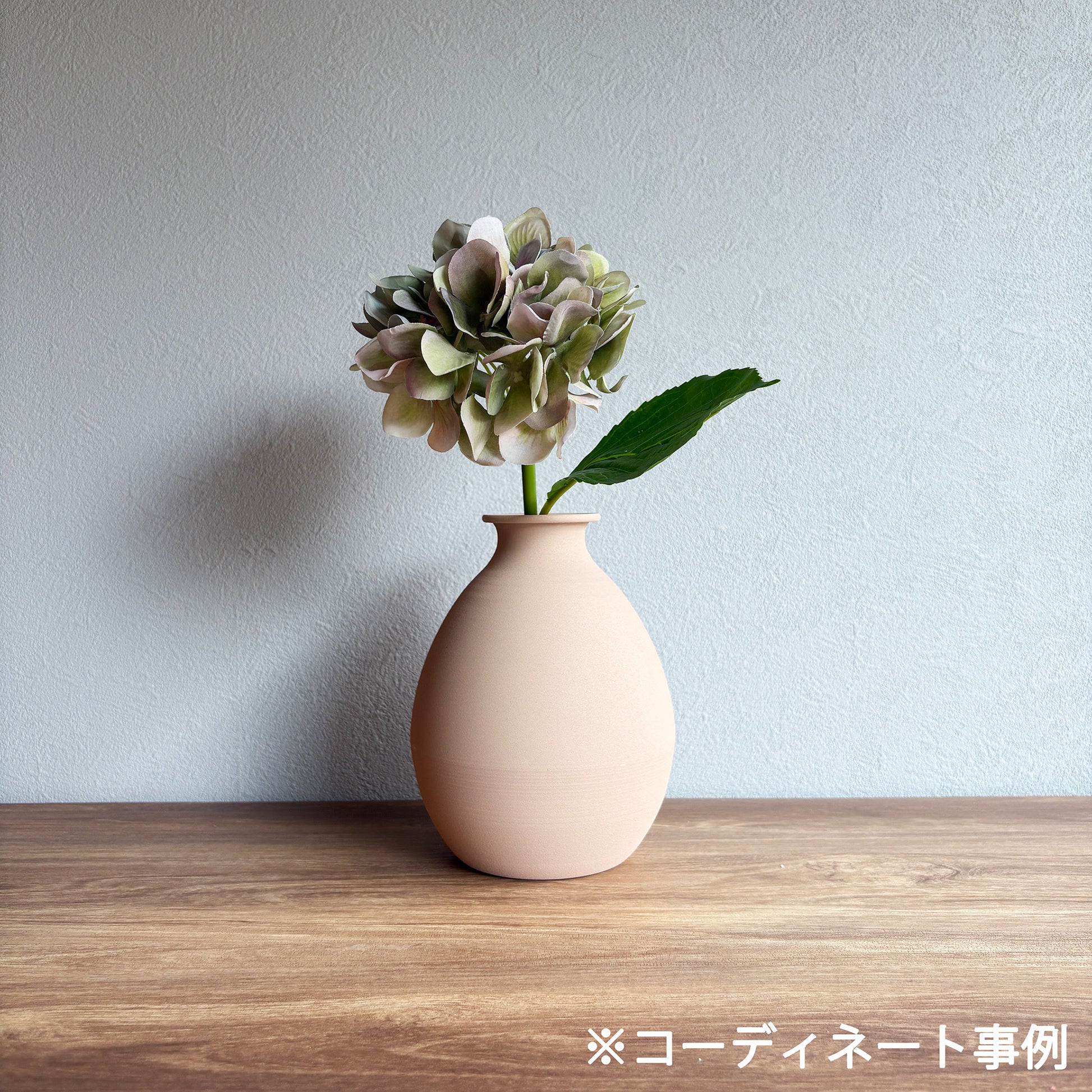 ミストグリーン ハイドレンジア7