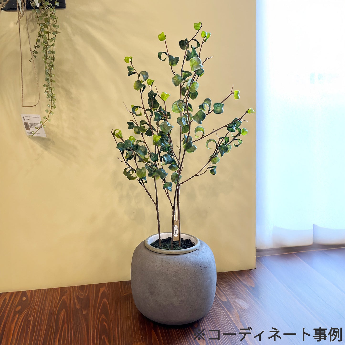 MONOLITHクレイポット No.13 / S / GL 8