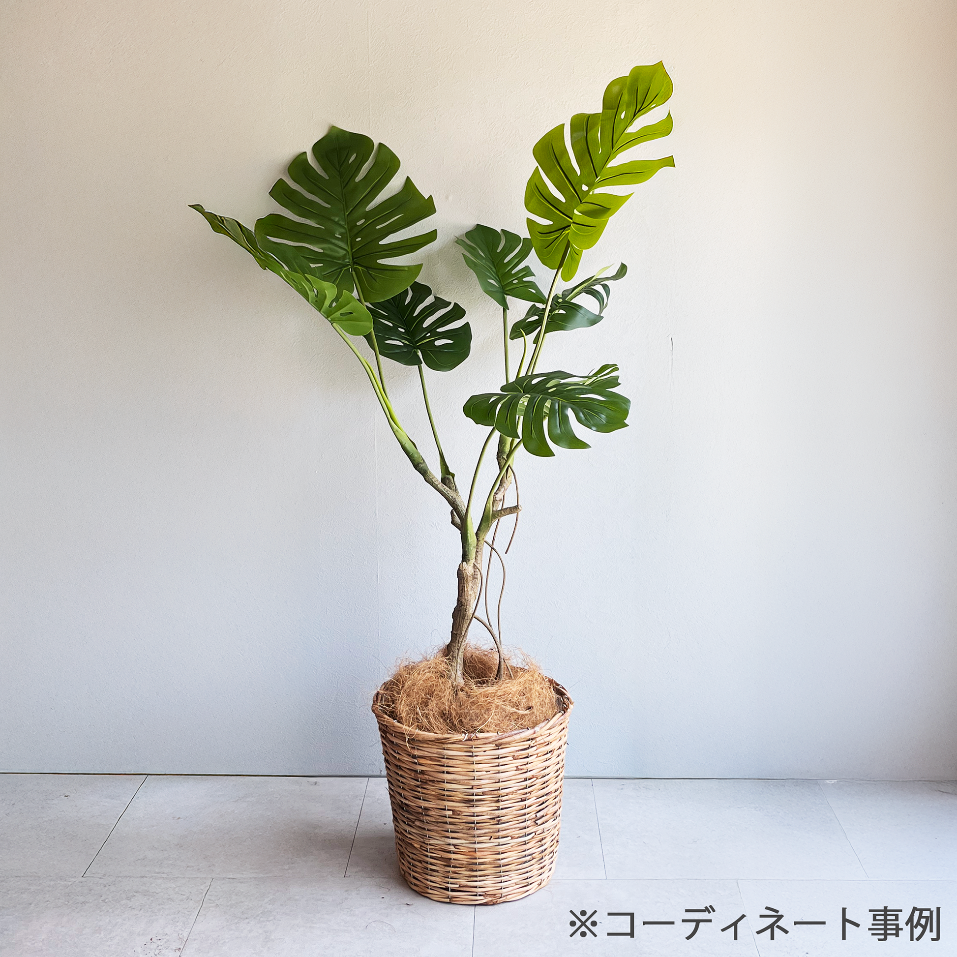 モンステラモデレートポット 110cm- フェイクグリーン専用通販サイト