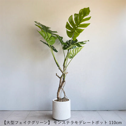 【ギフト】選べる！鉢付フェイクグリーン eギフトカタログ