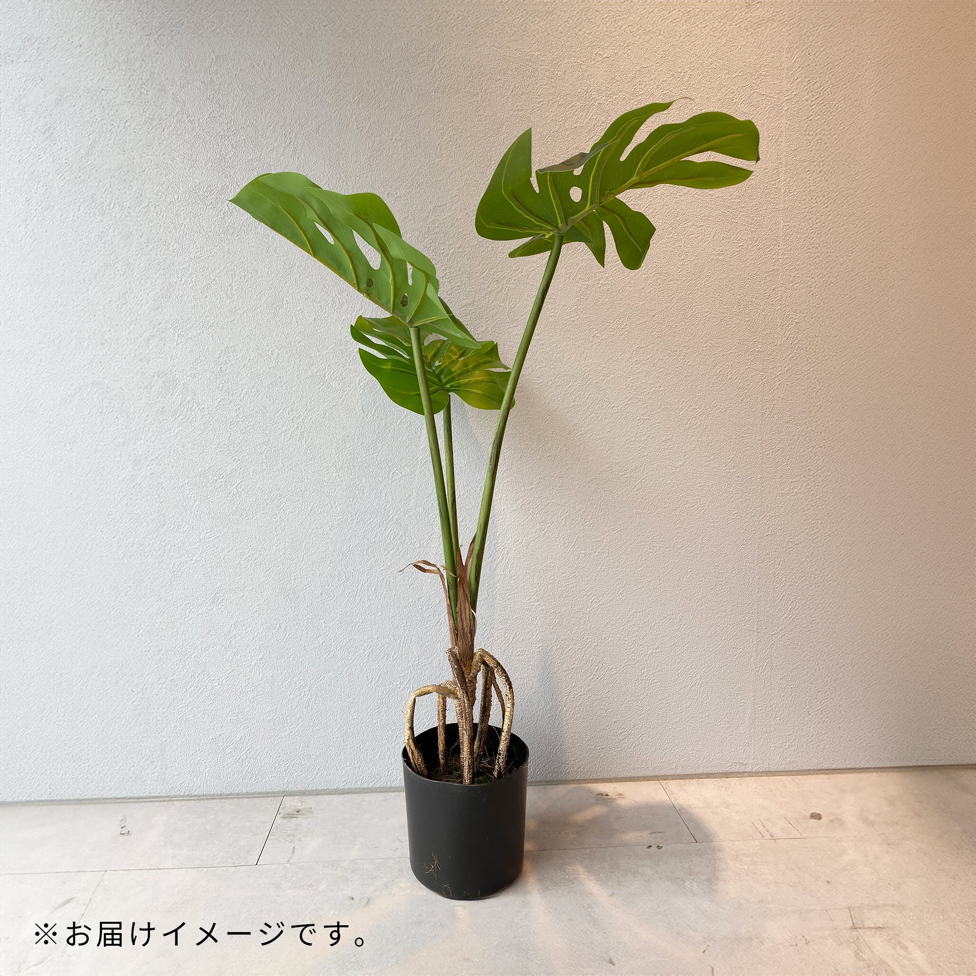【フェイクグリーン】モンステラ künstliche