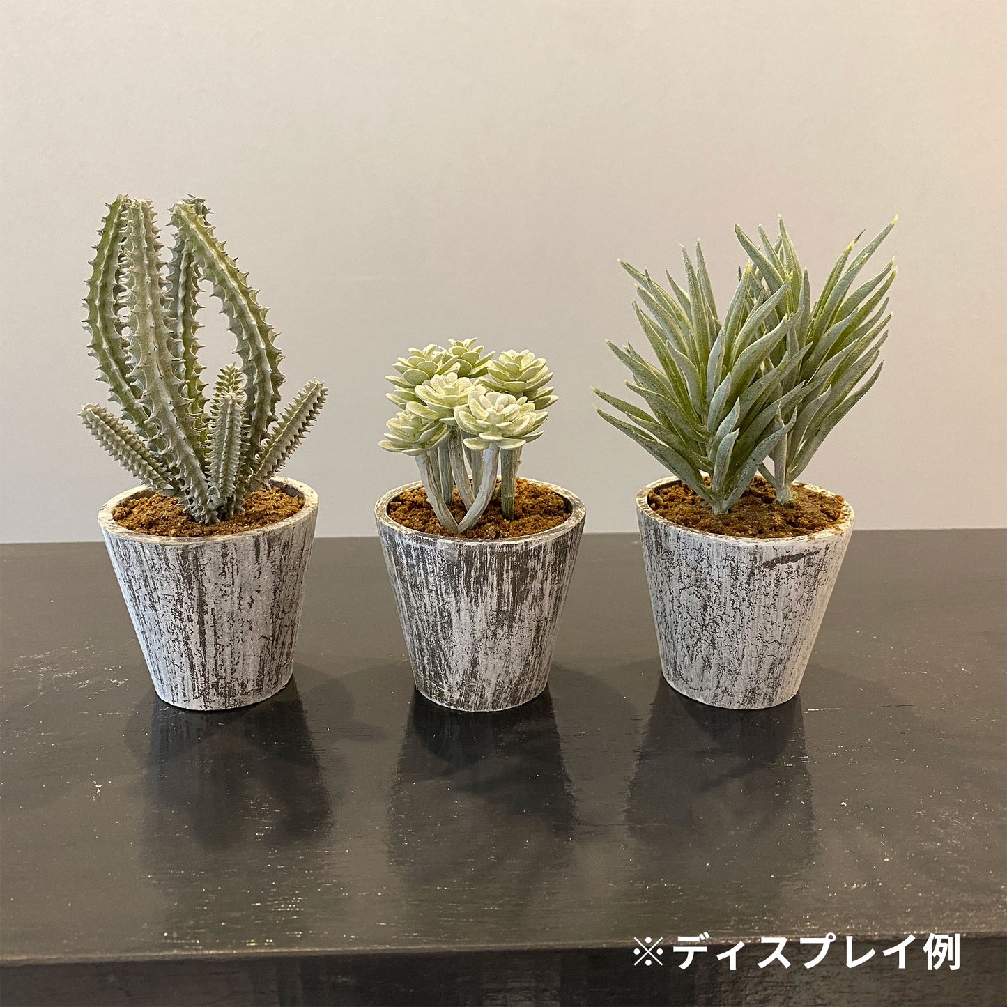 ナチュラルカクタスアソート künstlicheを使用したインテリア例。異なるタイプを並べて飾ることで統一感と遊び心が生まれます。
