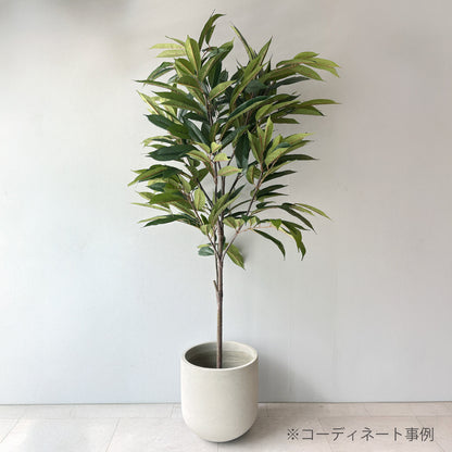 ナチュラルセメントラウンドポットデザイン