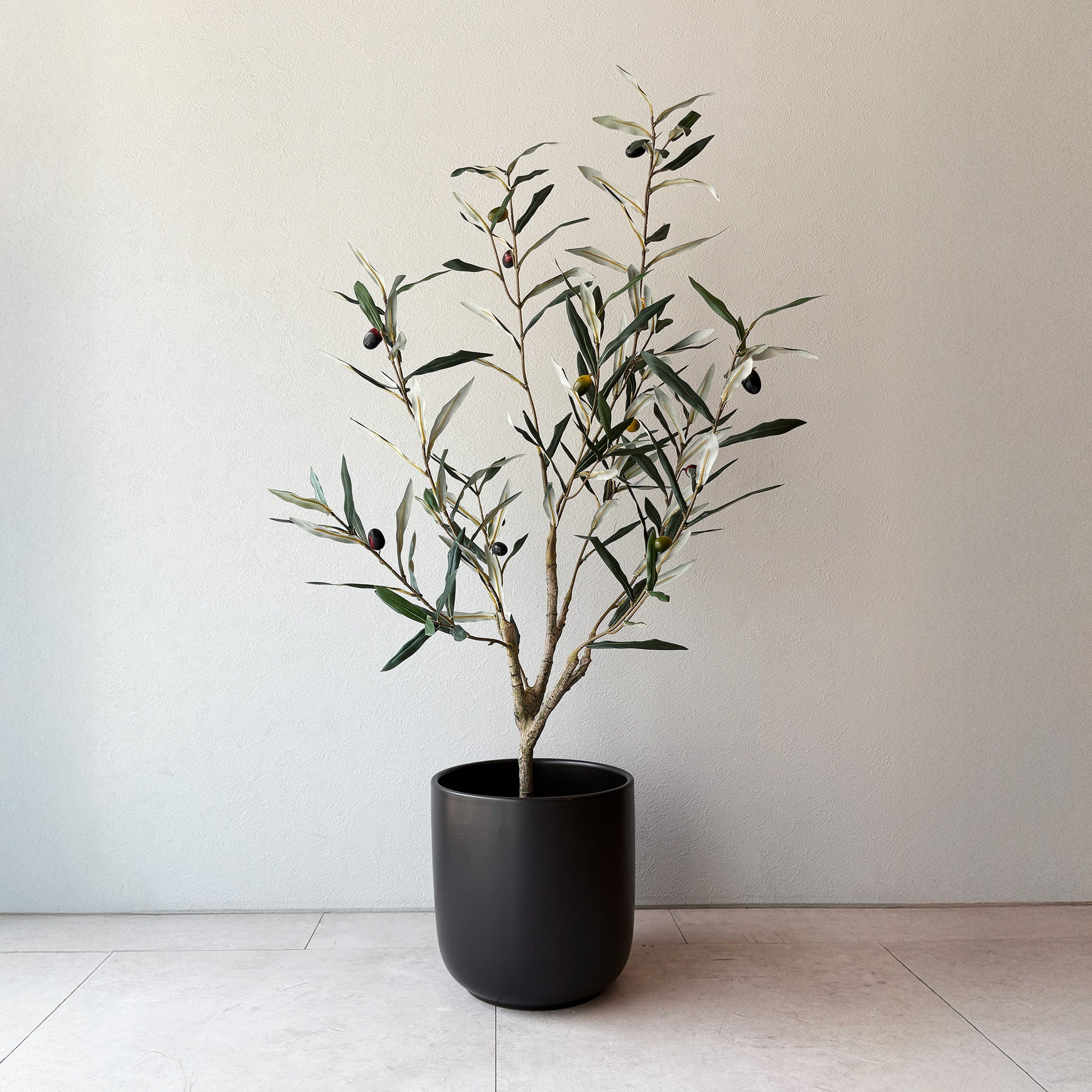 olivetree-90cm1