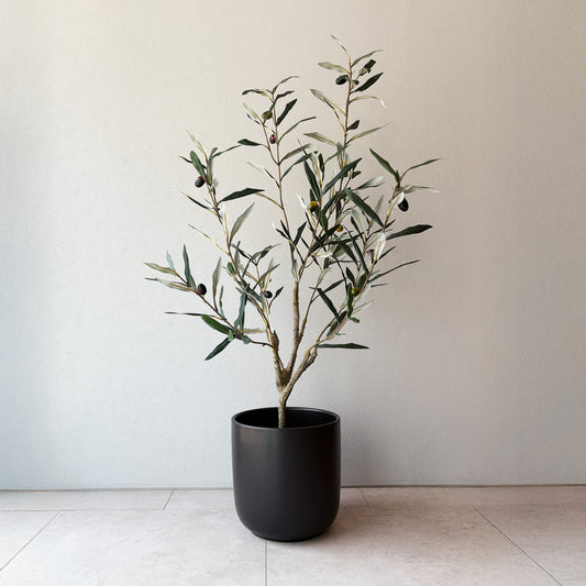 olivetree-90cm1