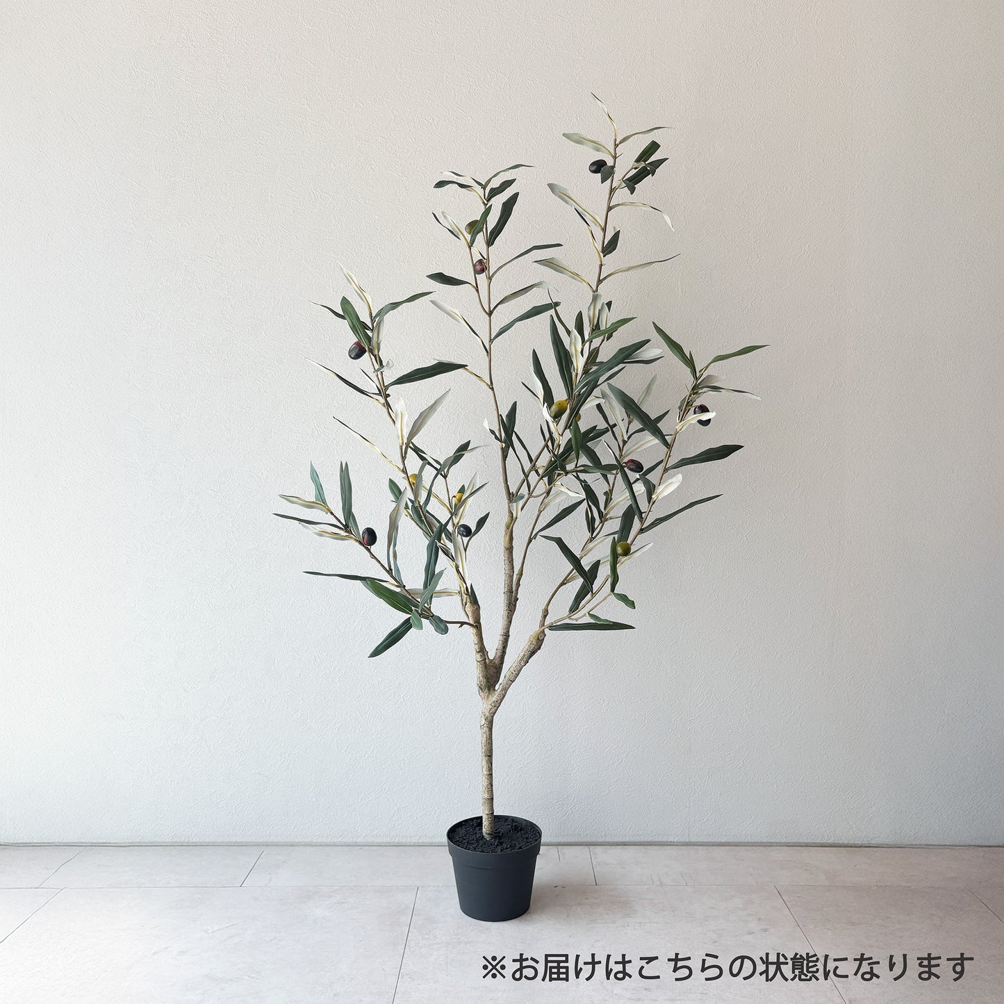 olivetree-90cm2