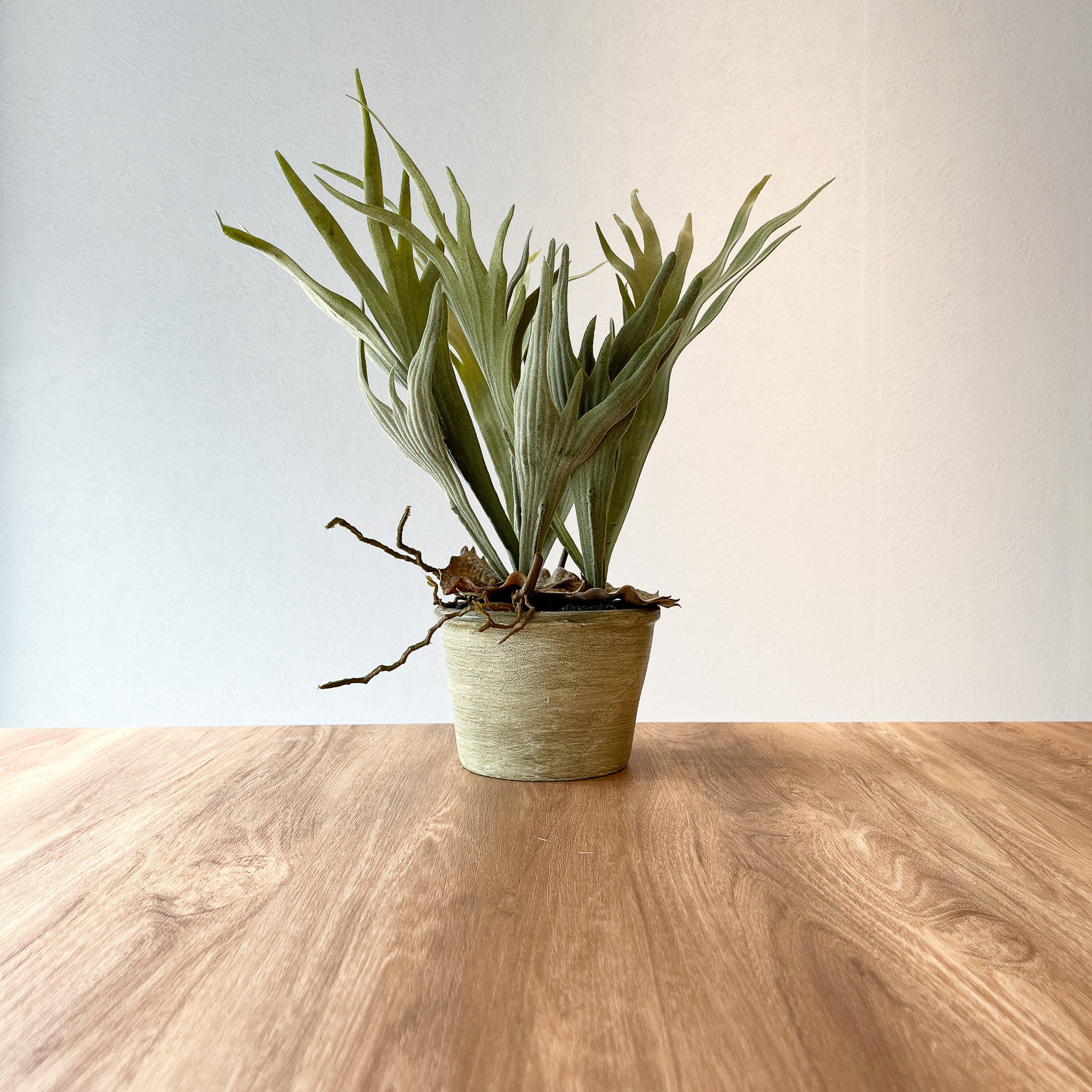 コウモリラン 壁掛け ビカクシダ 人工 観葉植物 フェイク リアル