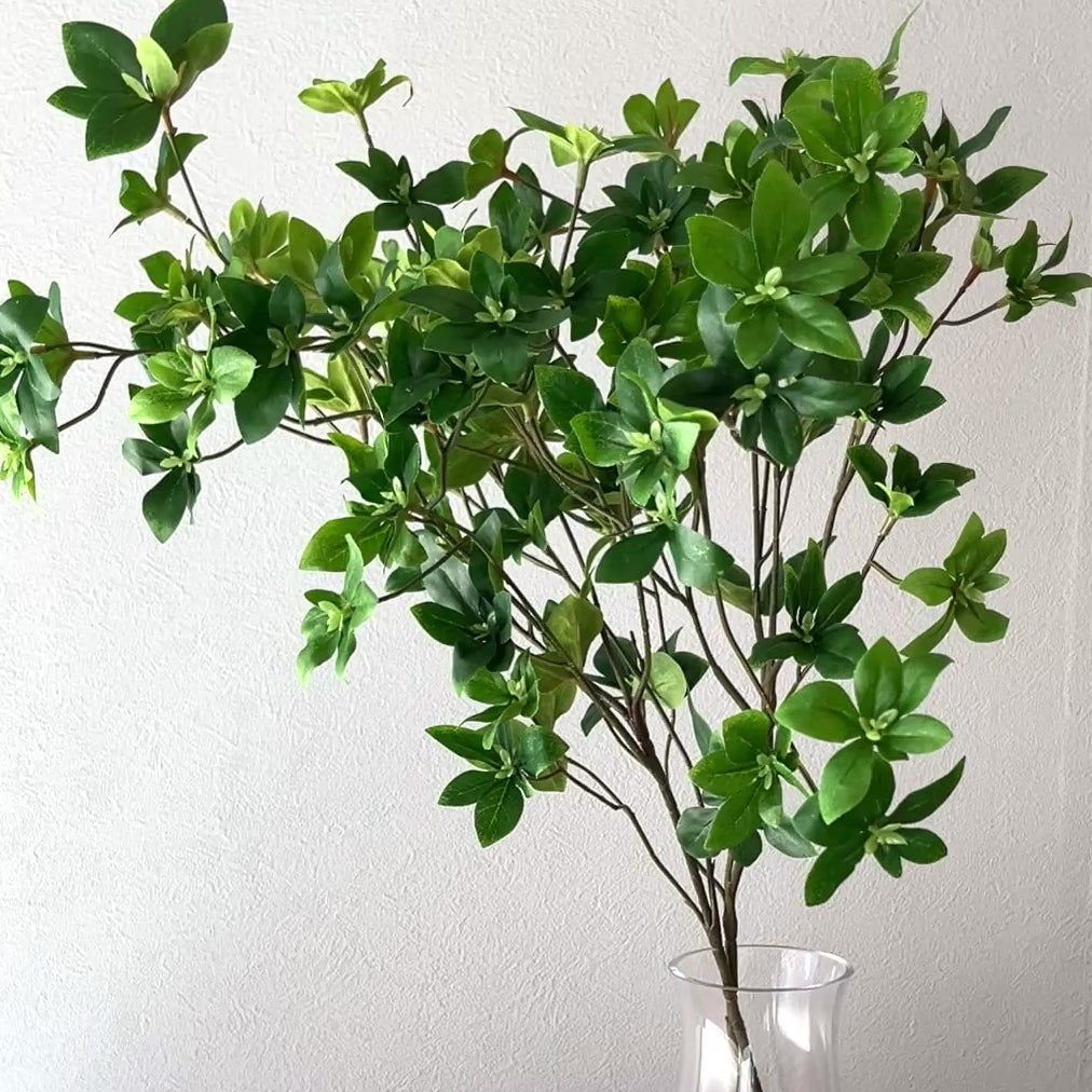 枝物】ドウダン- フェイクグリーン専用通販サイト – フェイクグリーン