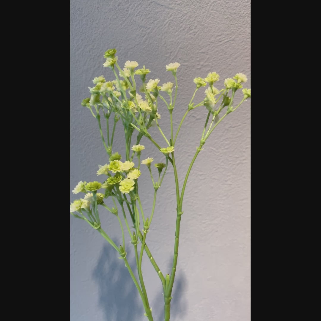 カスミソウ künstliche - フェイクグリーン専用通販サイト