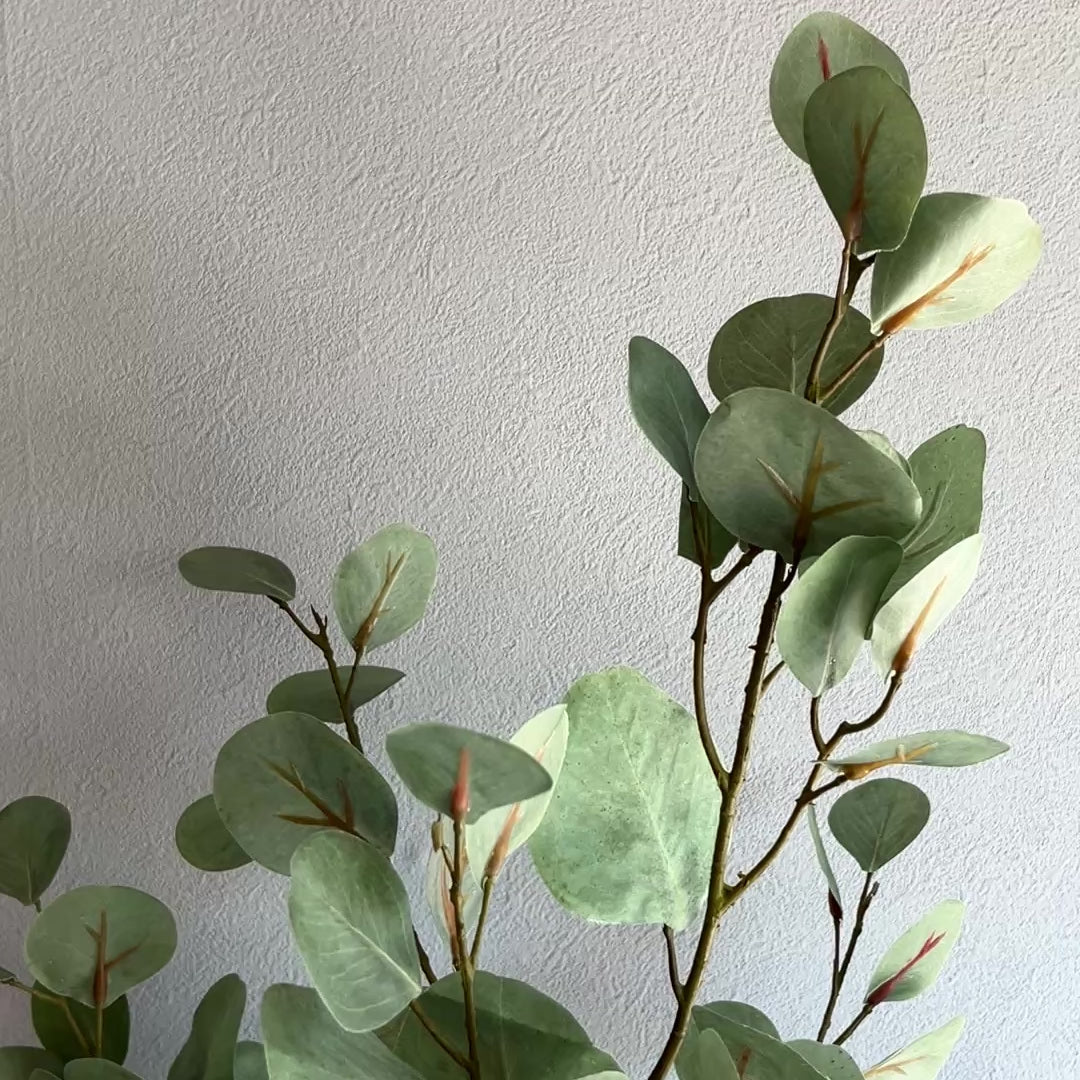 ユーカリツリー リアルウッド 150cm- フェイクグリーン専用通販サイト