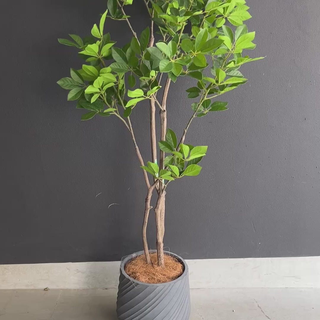 トランペットツリー 155cm- フェイクグリーン専用通販サイト