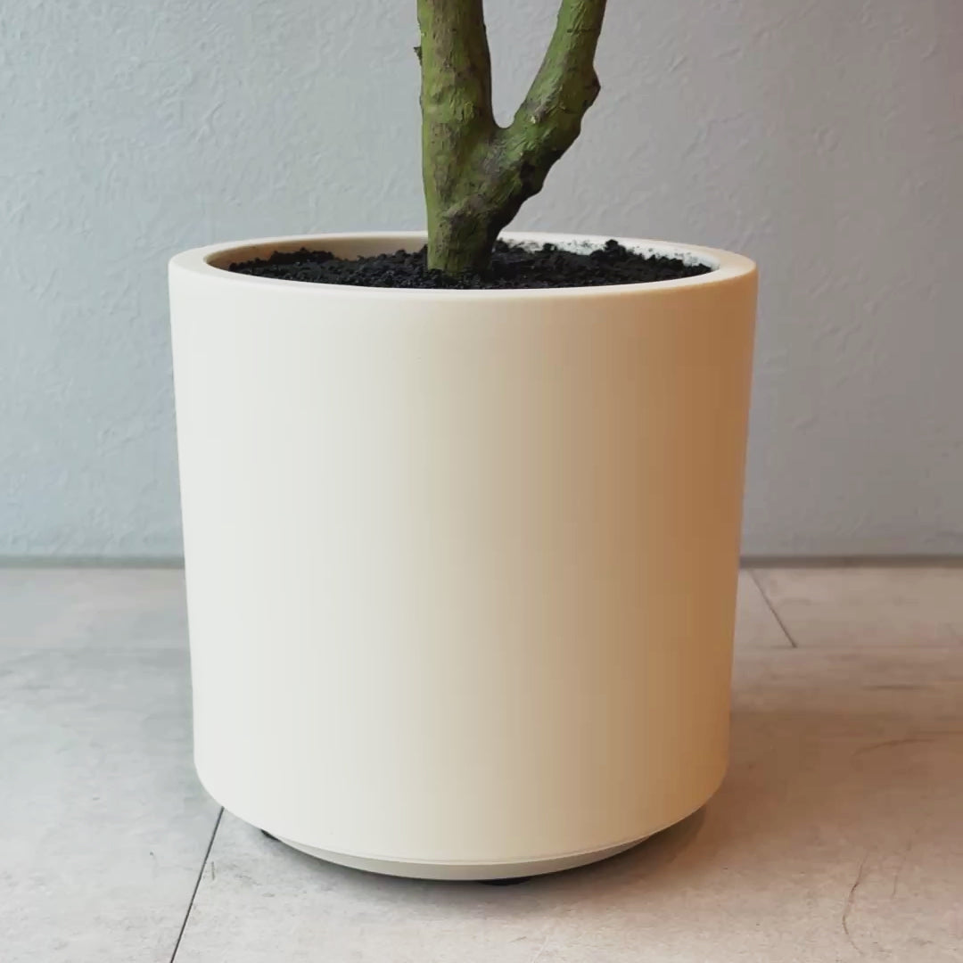 フェイクグリーンパキラ 約1メートル 白鉢 パキラモデレートポット 100cm- フェイクグリーン専用通販サイト