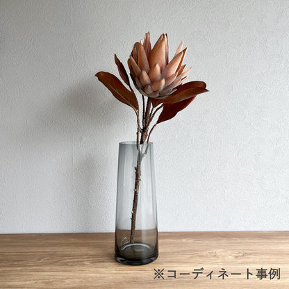 プロテア ピンクベージュ コーディーネート事例