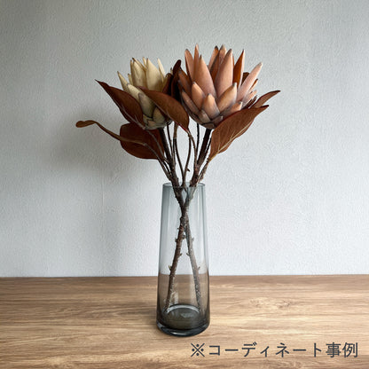 プロテア コーディネート事例