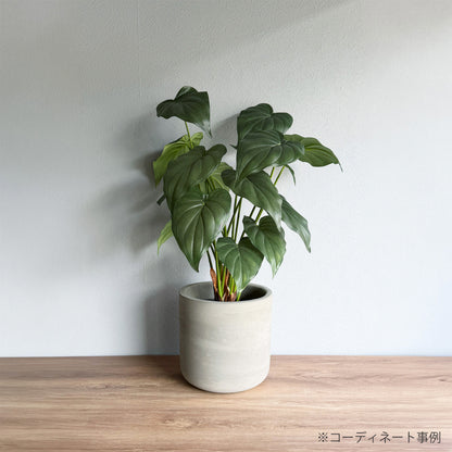 【小型鉢】カラムストーンポット 6