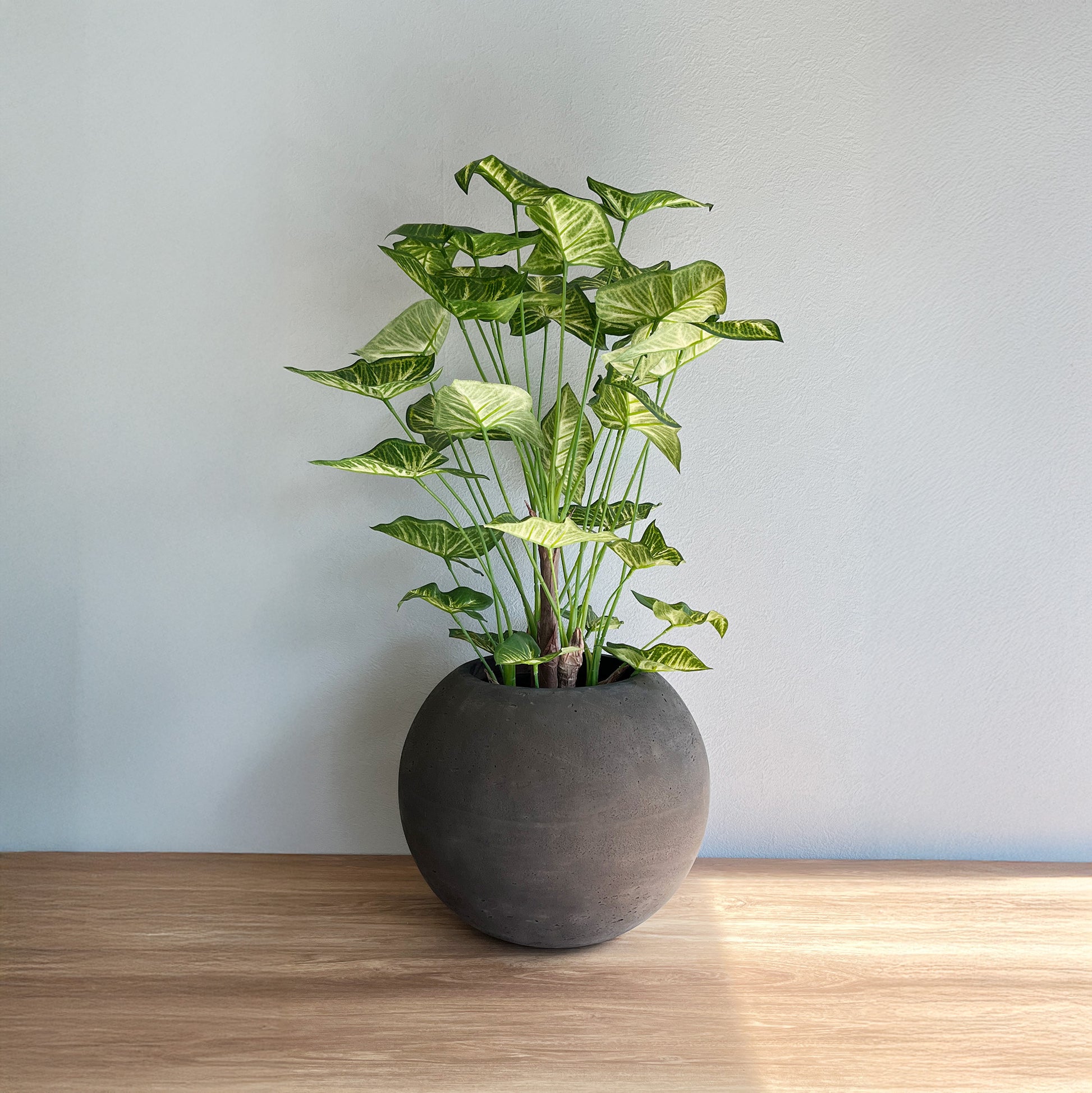 STONE オーブポット / BR 7