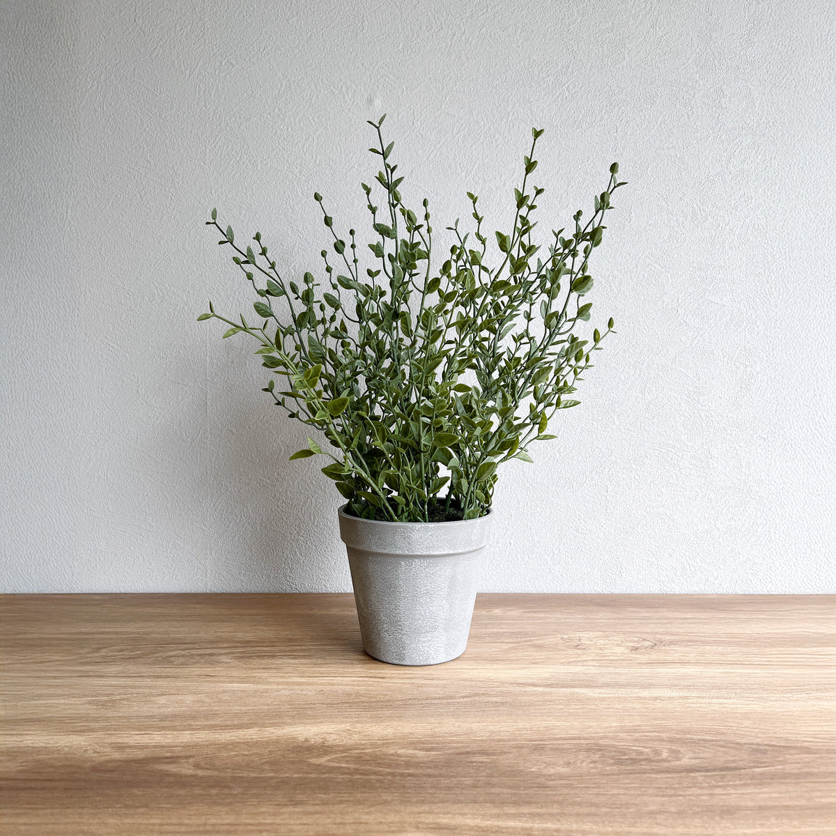 thyme-greypot1.jpg?v= 