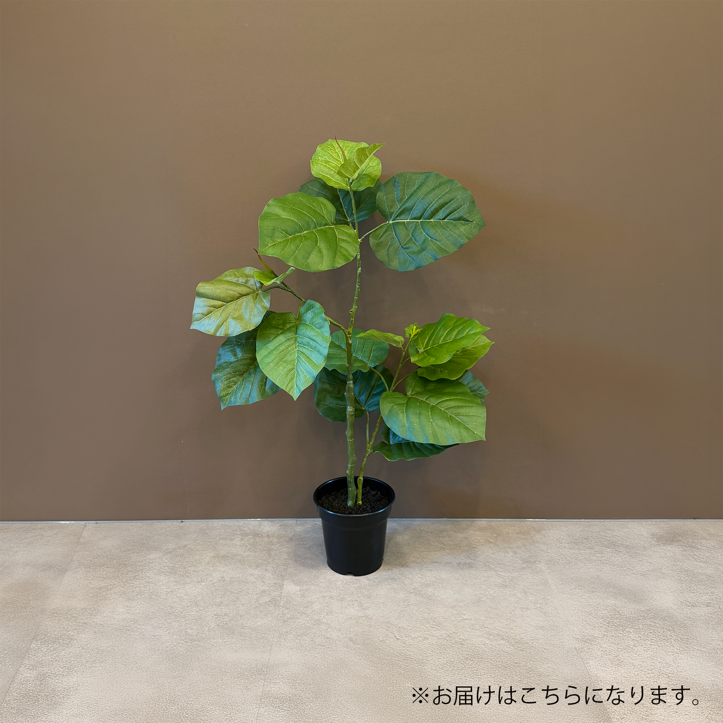 【フェイクグリーン】ウンベラータ ポット 70cm 2