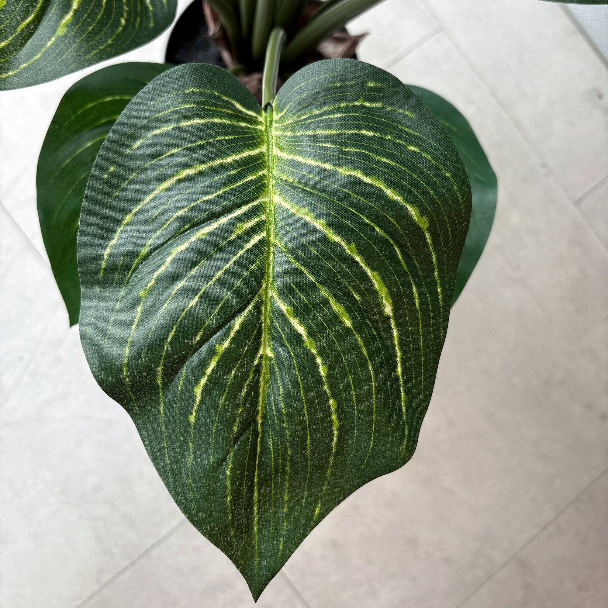 キサントソーマ　観葉植物　大型 キサントソーマ 75cm - フェイクグリーン専用通販サイト – フェイク