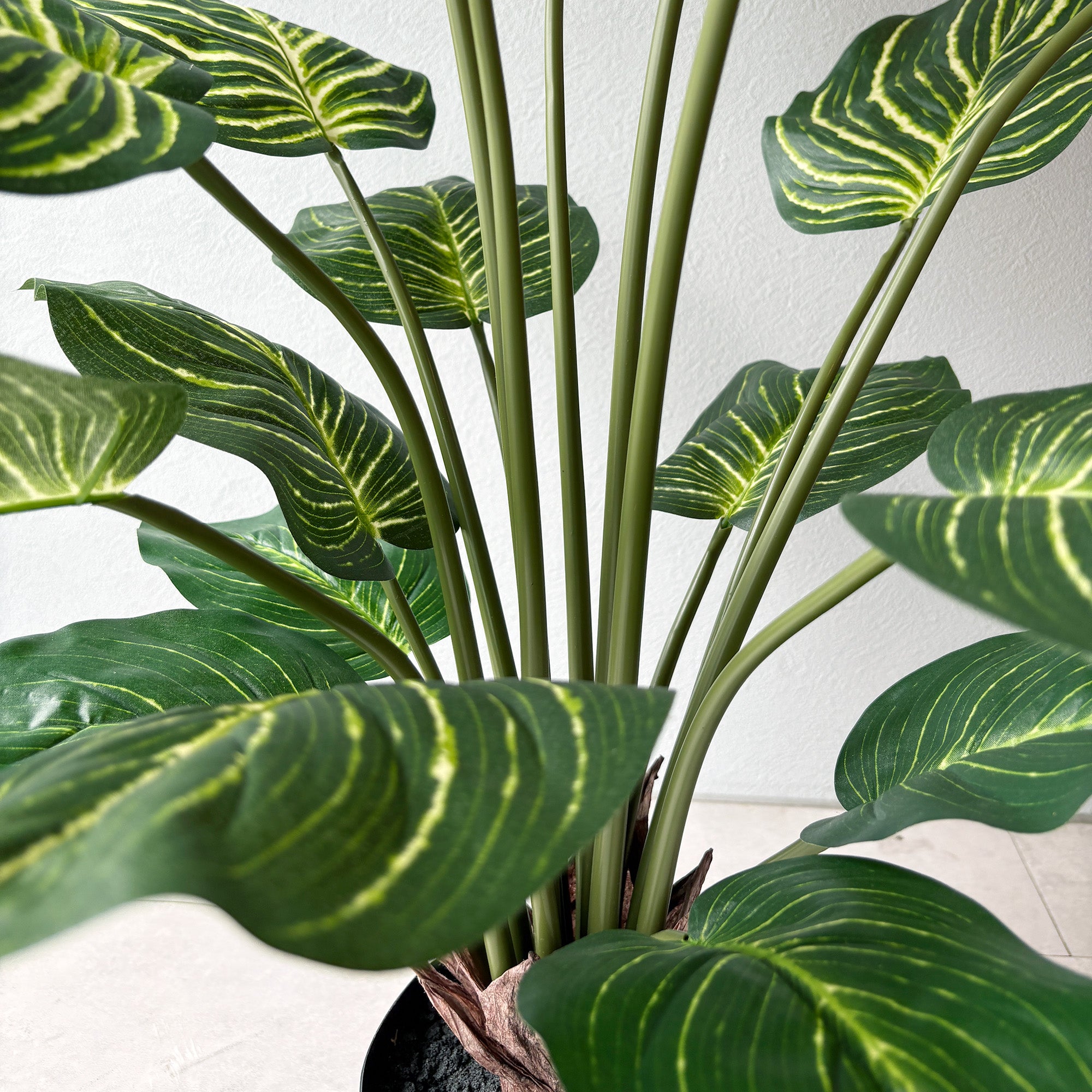 キサントソーマ　観葉植物　大型 キサントソーマ 75cm - フェイクグリーン専用通販サイト – フェイク