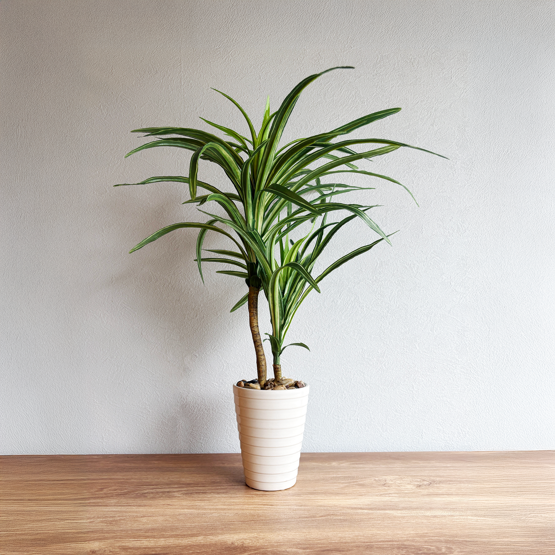フェイクグリーン 鉢 ホワイト yucca-white-pot1.png?v=
